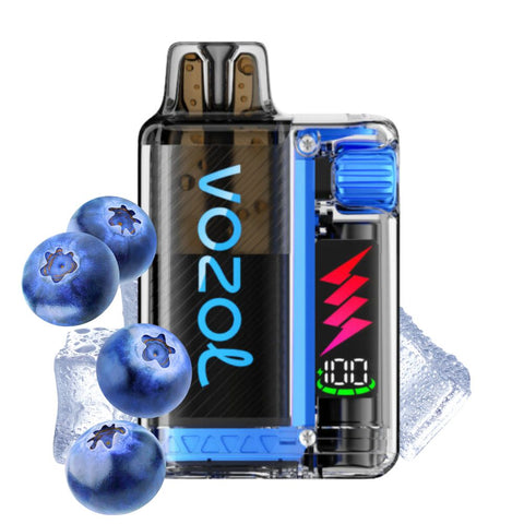 VOZOL Vista Plug Starter Kit with blueberries and ice, featuring innovative vape design and performance.