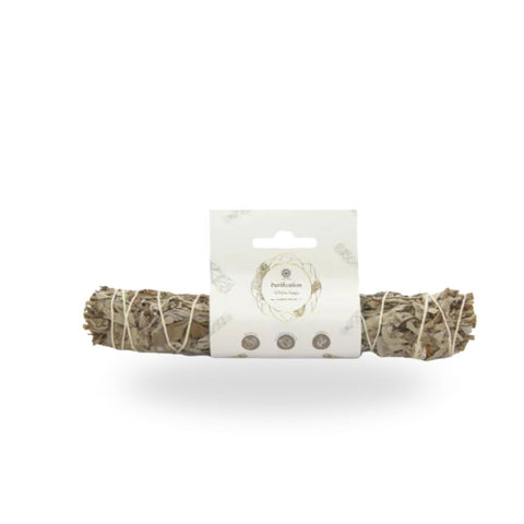 Purification White Sage - XL Smudge Stick auf einem weißen Hintergrund, ideal für energetische Reinigung.