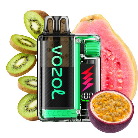 VOZOL - Vista Plug Starter Kit