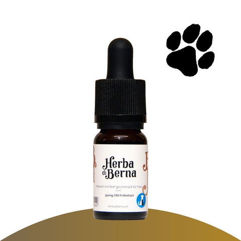 CBD-Hanföl für Hunde herba di berna