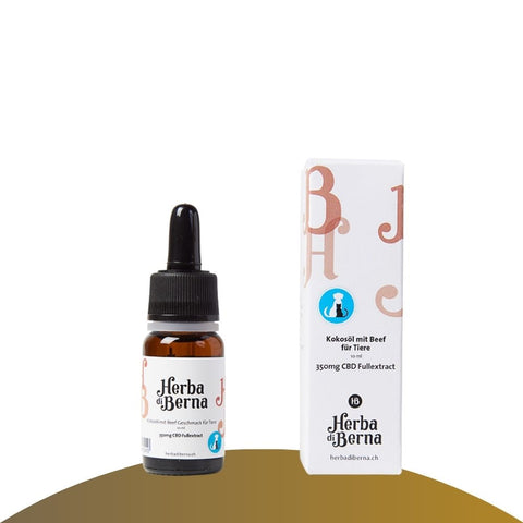 CBD-Hanföl für Hunde kaufen