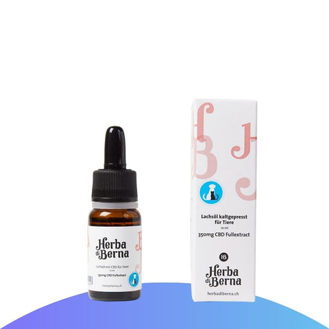 CBD-Hanföl für Katzen herba di berna