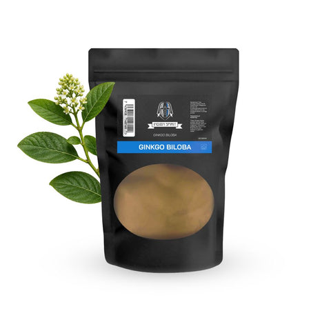 Ginkgo Biloba Pulver 50 g aus getrockneten und fein gemahlenen Blättern des Ginkgobaums, naturbelassenes Pflanzenpulver ohne Zusatzstoffe