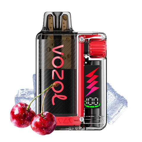VOZOL - Vista Plug Starter Kit