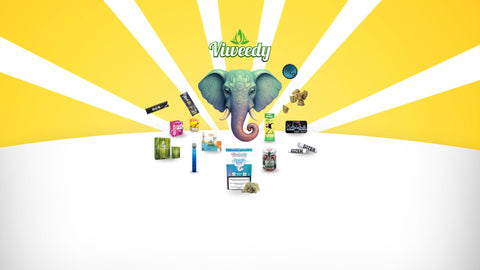 CBD Shop Schweiz - seit 2017