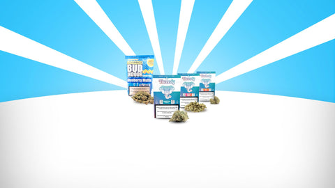 Viweedy CBD Blüten Sortiment