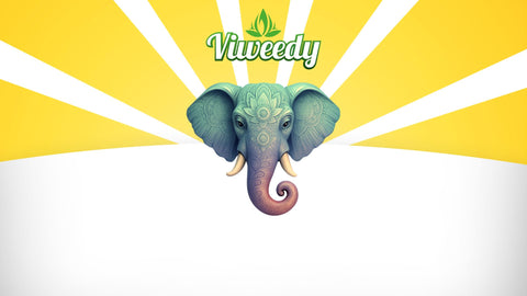 viweedy cbd vape onlineshop schweiz