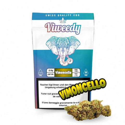 Viweedy Vimoncello CBD Blüten aus Schweizer Indoor-Anbau mit Zitronenaroma und würzigen Haze-Noten, erhältlich in 2 g und 6 g