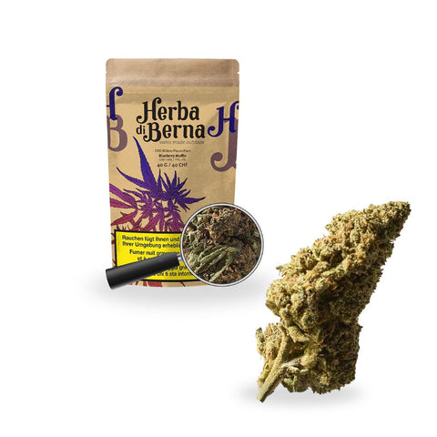 Herba di Berna - Blueberry Muffin Outdoor 40g Verpackung mit Fokus auf frischen Blüten und den charakteristischen Blaubeer-Aromen.