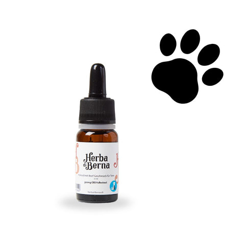 cbd oel für hunde schweiz herba di berna basel