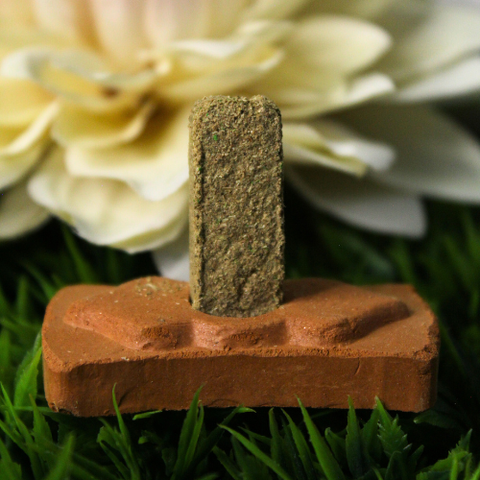 Green Tree Palo Santo Smudge Bricks - 15 Stück mit Räucherhalter