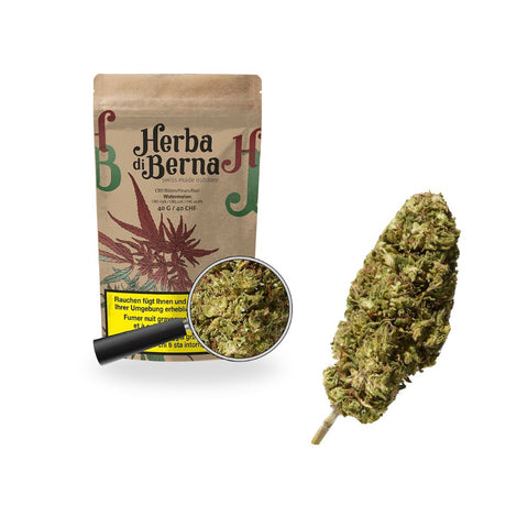 Herba di Berna - Watermelon Outdoor 40g Verpackung mit CBD-Blüte in Nahaufnahme und Lupenansicht.