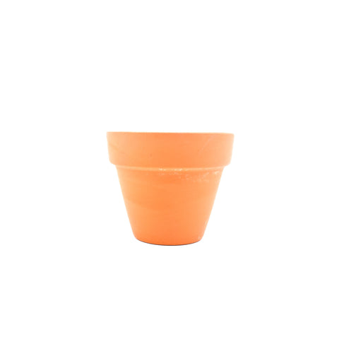 Clay pot with soil small
