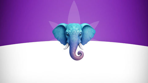 cbd onlineshop schweiz viweedy