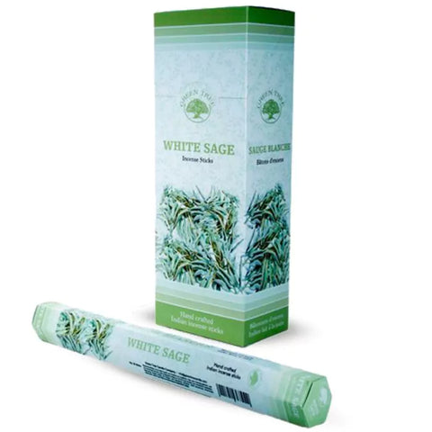 Green Tree White Sage Incense Sticks