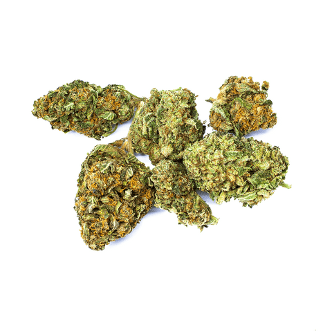 CBD Online Shop Schweiz | Viweedy Harlem Queen CBD Indoor JETZT: MIT MEHR INHALT findest du im Viweedy Store in Basel