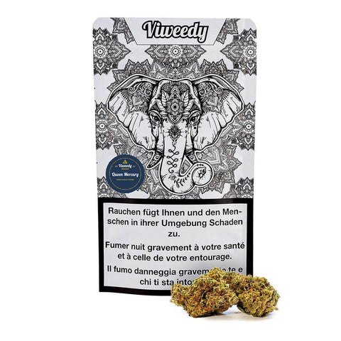 CBD Online Shop Schweiz | Viweedy Queen Mercury CBD Indoor JETZT: MIT MEHR INHALT findest du im Viweedy Store in Basel