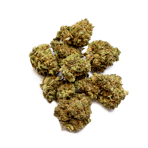 CBD Online Shop Schweiz | Viweedy Queen Mercury CBD Indoor JETZT: MIT MEHR INHALT findest du im Viweedy Store in Basel