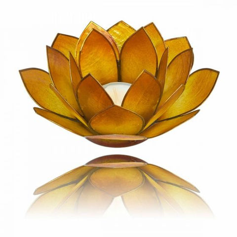 CBD & Räucherwerk Online Shop Schweiz | Teelichthalter Lotusblüte aus Capizmuscheln
 findest du im Viweedy Store in Basel