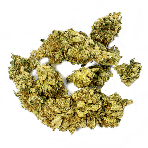 CBD Online Shop Schweiz | Viweedy Vimoncello CBD Indoor JETZT: MIT MEHR INHALT findest du im Viweedy Store in Basel