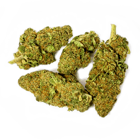 CBD Online Shop Schweiz | Viweedy Vitonic CBD Indoor  Blüten               JETZT: MIT MEHR INHALT findest du im Viweedy Store in Basel