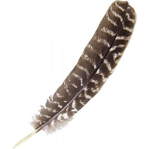 CBD & Räucherwerk Online Shop Schweiz | Barred Turkey Smudge Feather 30cm
 findest du im Viweedy Store in Basel