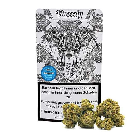 CBD & Räucherwerk Online Shop Schweiz | Viweedy Blueprint CBD Blüten Indoor NEW
 findest du im Viweedy Store in Basel