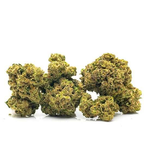 CBD & Räucherwerk Online Shop Schweiz | Viweedy Blueprint CBD Blüten Indoor NEW
 findest du im Viweedy Store in Basel