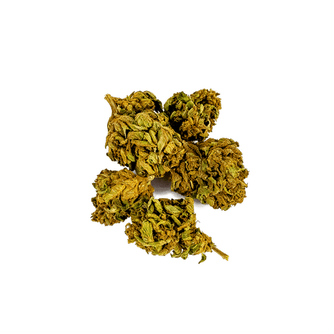 CBD & Räucherwerk Online Shop Schweiz | Viweedy Northern Lights CBD Blüten Outdoor
 findest du im Viweedy Store in Basel