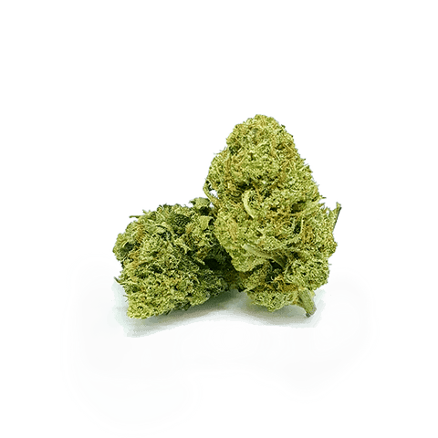 CBD & Räucherwerk Online Shop Schweiz | Viweedy Seraphy Indoor "special dry"
 findest du im Viweedy Store in Basel